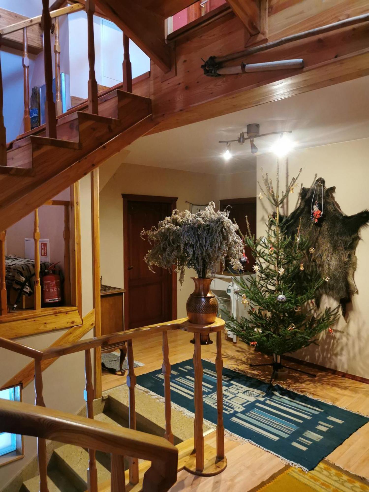 Apartamenty-Wynajem Pokoi Zbigniew Tylka Kościelisko Dış mekan fotoğraf