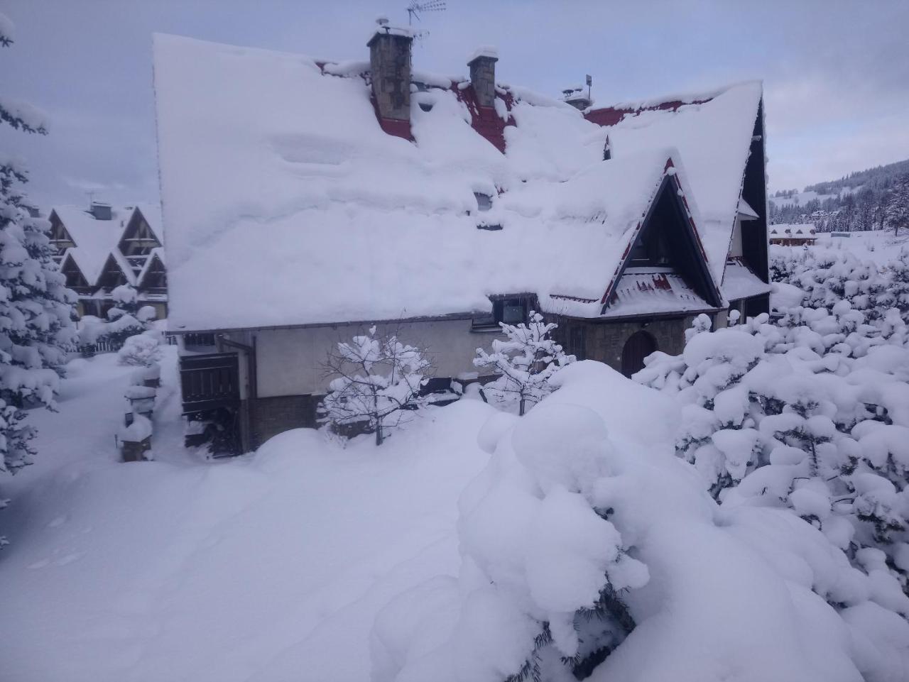 Apartamenty-Wynajem Pokoi Zbigniew Tylka Kościelisko Dış mekan fotoğraf