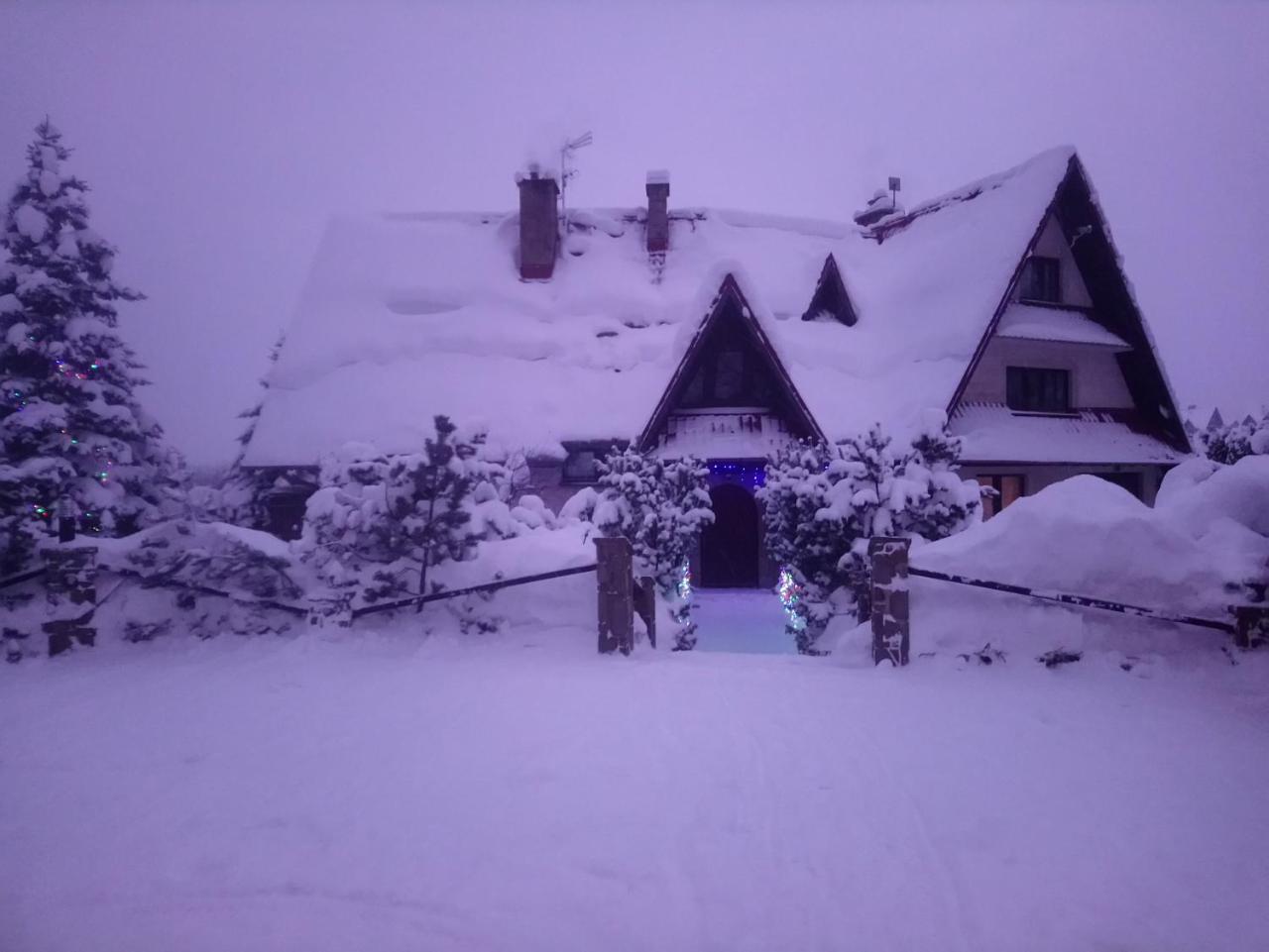 Apartamenty-Wynajem Pokoi Zbigniew Tylka Kościelisko Dış mekan fotoğraf